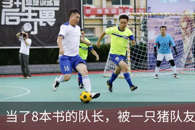 当了8本书的队长，被一只猪队友挤下台？新队长竟是女神