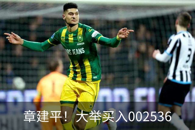 章建平！大举买入002536